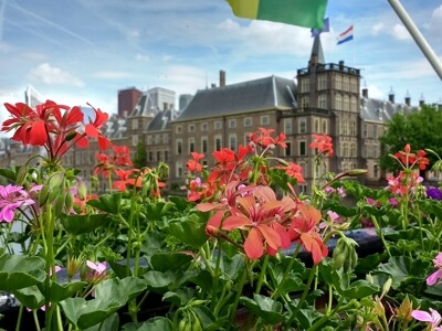 artwork-city-zuid-holland-den-haag-tinified